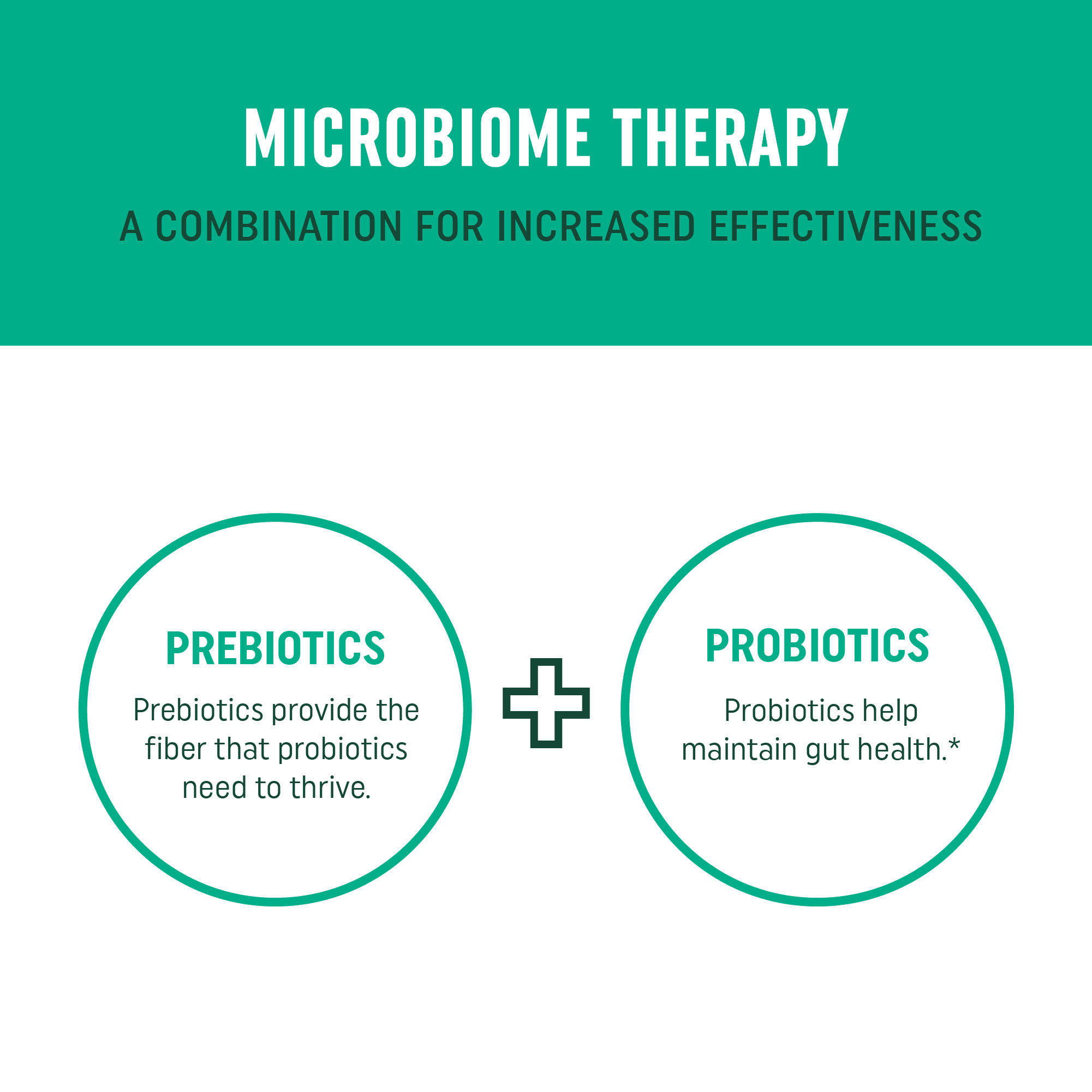 Prebiotic + Probiotic Capsules