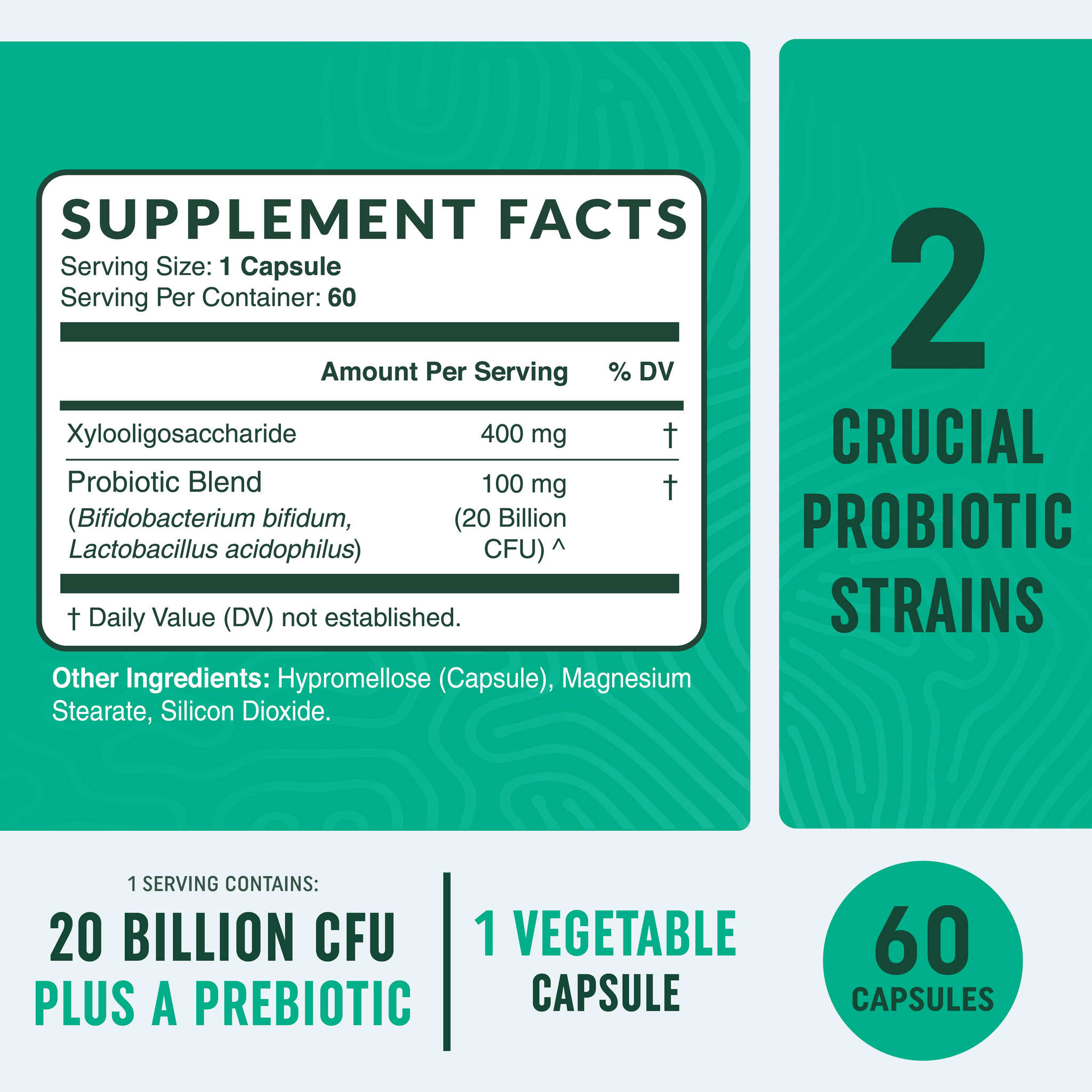 Prebiotic + Probiotic Capsules